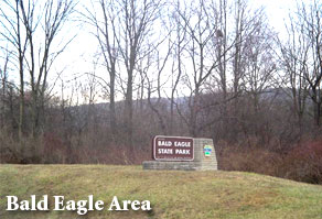 Bald Eagle Area